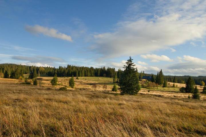 Ferienwohnung für 8 Personen, mit Sauna und Ausblick sowie Terrasse, mit Haustier im Böhmerwald - 4
