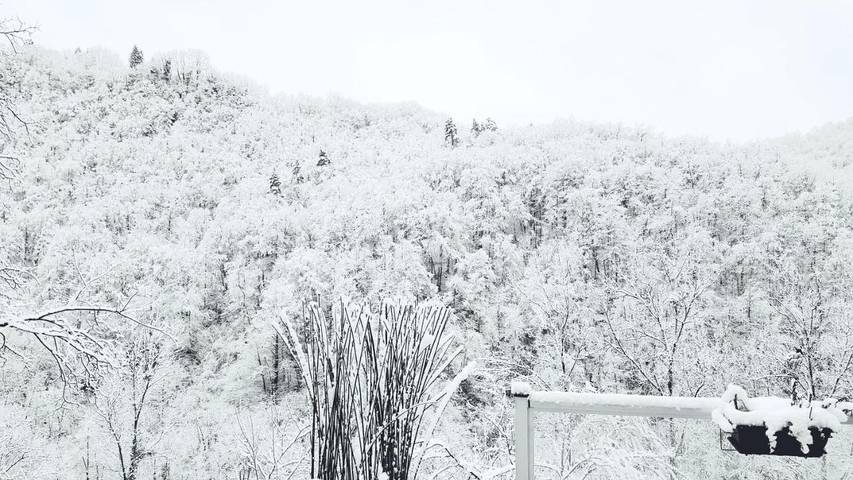 Chambre d’hôte pour 2 personnes, avec jardin ainsi que sauna et vue dans Parc naturel régional des Pyrénées ariégeoises - 2
