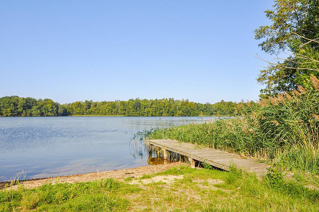 Ferienhaus Engel am Dümmer See in Dümmer (Mecklenburg-Vorpommern), Ludwigslust-Parchim