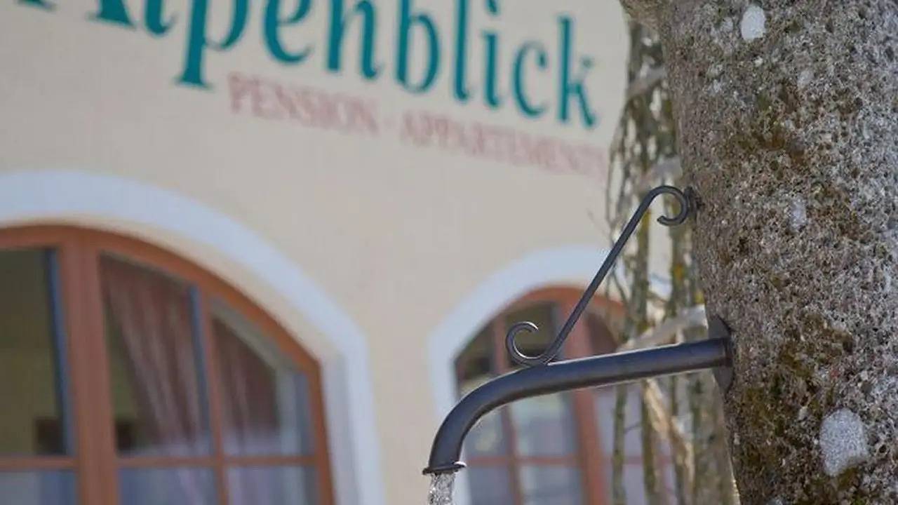 Ganze Ferienwohnung, Ferienwohnung für 4 Personen (50 m²) in Faistenau in Salzkammergut-Berge, Faistenau