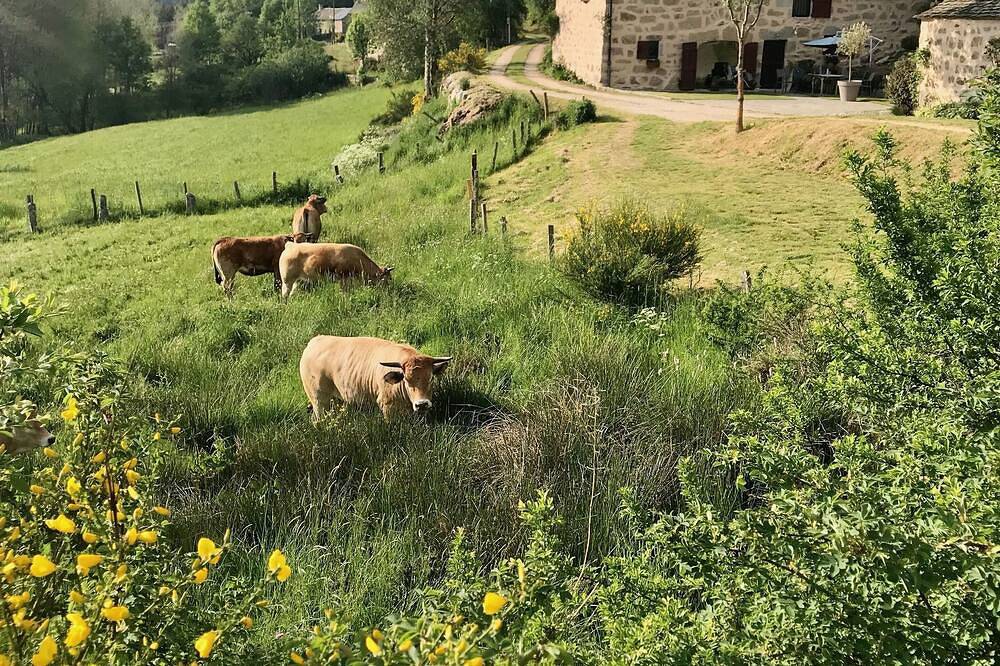 Maison de caractère aux portes de l'Aubrac in Peyre-en-Aubrac, Région de Mende
