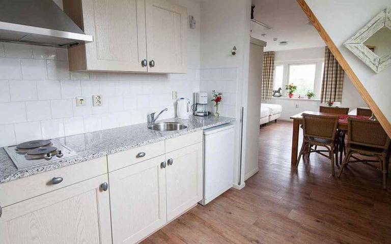 Bauernhof für 16 Personen, mit Garten und Whirlpool sowie Terrasse in Nordholland - 4