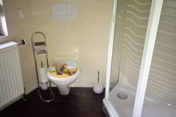 Ferienwohnung für 2 Personen, mit Whirlpool und Terrasse sowie Garten in Neukalen - 4