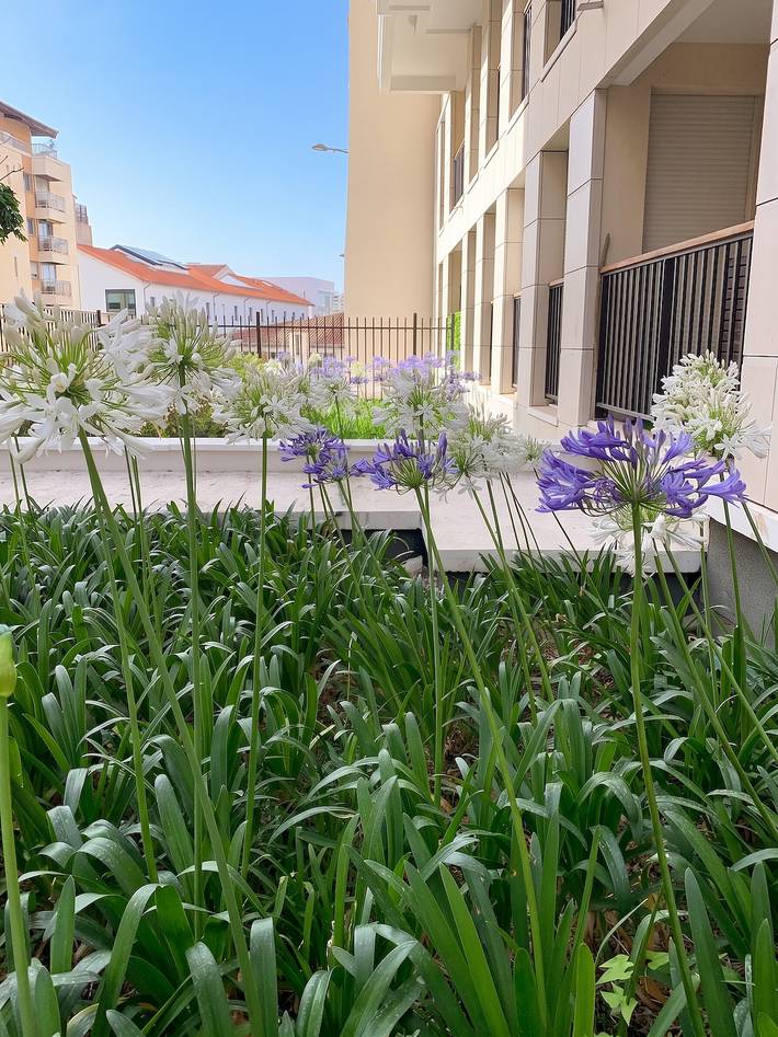 Gîte pour 4 personnes, avec Balcon/Terrasse dans Le Vieux Port (Marseille) - 4