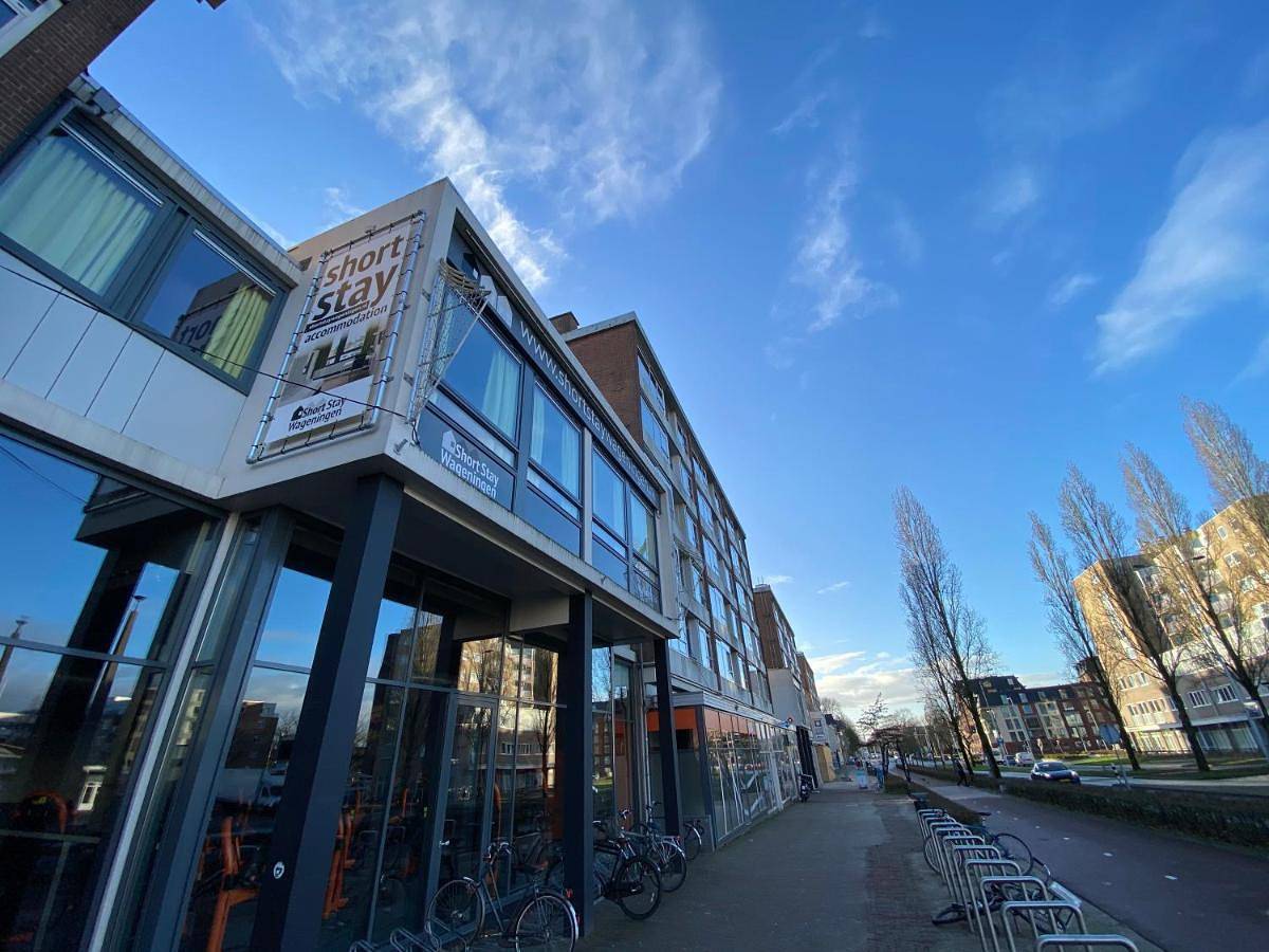 Standard Single Room with Shared Bathroom in Wageningue, Hoge Veluwe