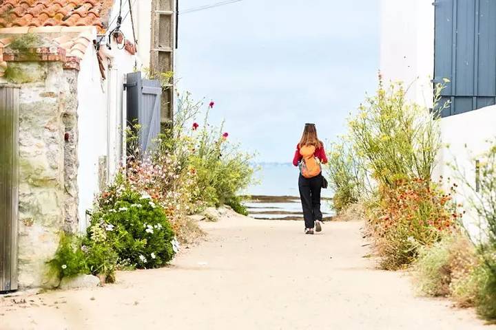 Mobil home pour 6 personnes, avec sauna, animaux acceptés dans Plage des Sableaux - 2
