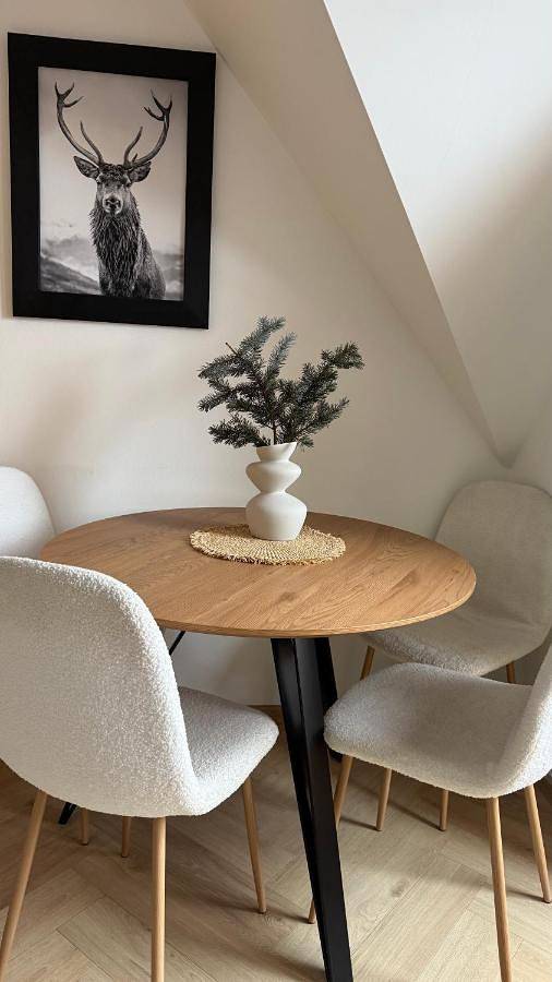 Cały apartament, Ski House Czarna Góra- apartament 50m od stoku narciarskiego in Czarna Góra, Karpaty (Polska)
