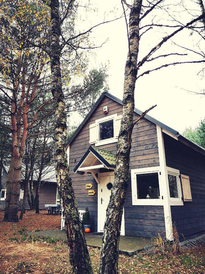 Two-Bedroom Chalet in Bory Tucholskie