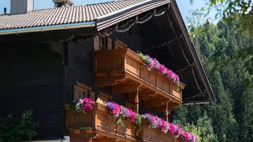 Location de vacances pour 12 personnes, avec jardin à Hochfilzen - 2