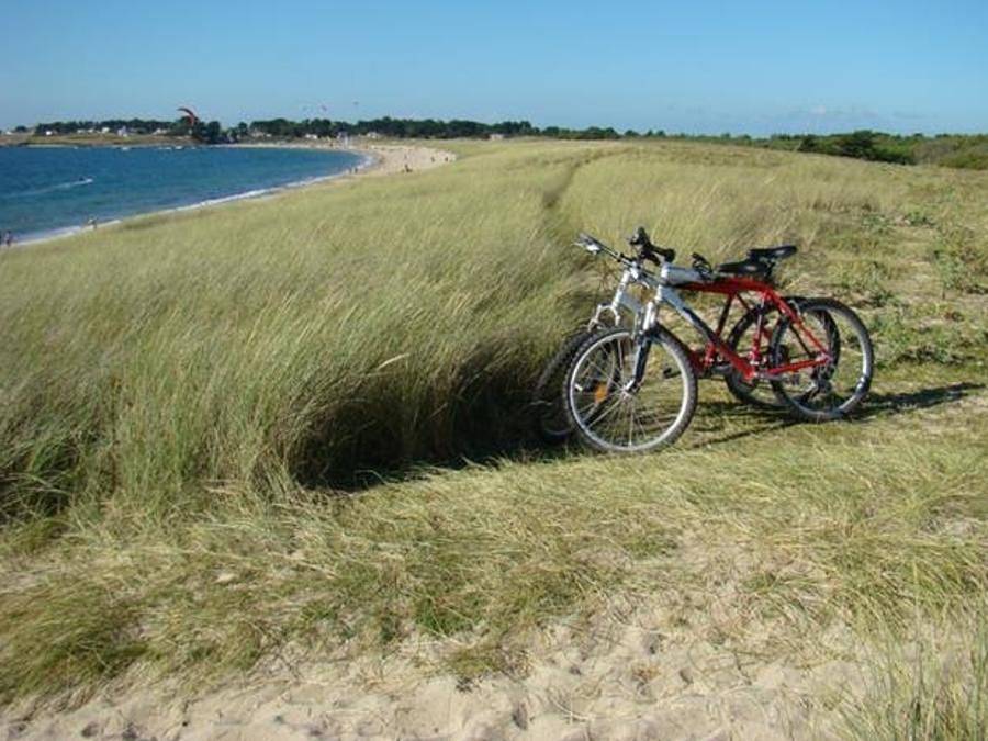 Tlc Vacances Noirmoutier - Villa 9 personen - Villa 3 Schlafzimmer in Frankreich