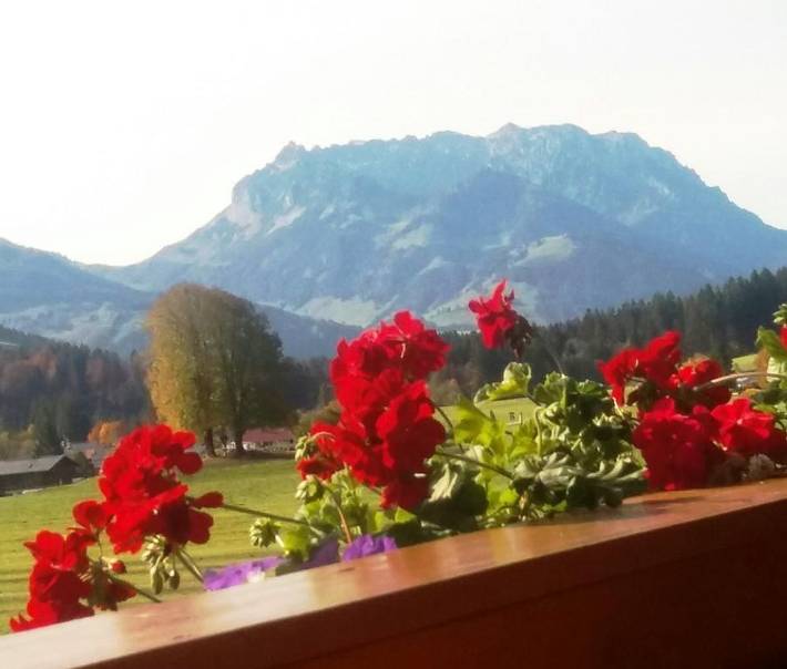 Ganze Ferienwohnung, Haus Wiesenblick - Sonnige Ferienwohnung von 45m² bis 65m², Balkon und extra Küche in Reit im Winkl, Bayerische Alpen