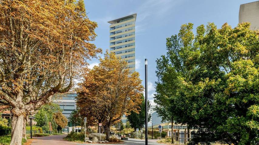 Loft voor 2 personen in Den Haag