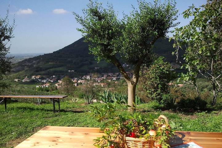 Gîte pour 4 personnes, avec Terrasse et Jardin à Cinto Euganeo