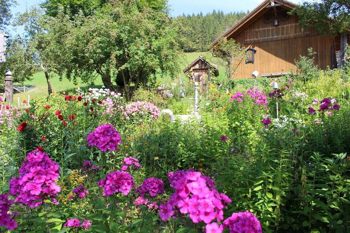 Ganze Ferienwohnung, Balzenhof - Größe: 45 qm in Furtwangen, Mittlerer Schwarzwald