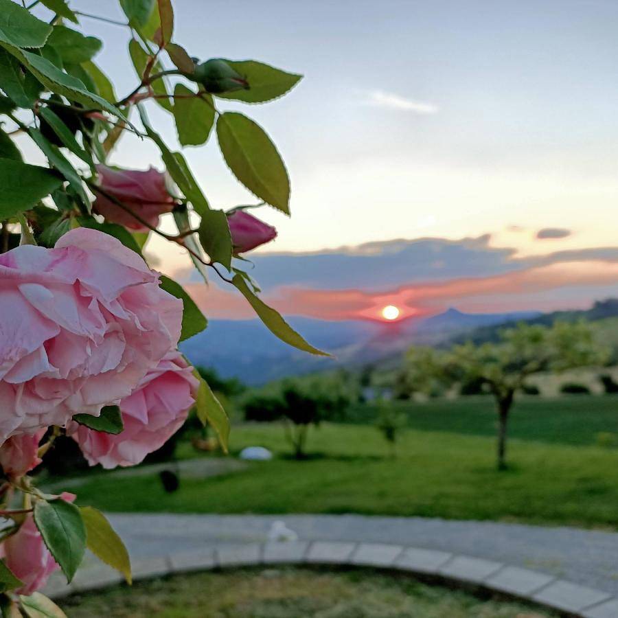 Agriturismo La Casetta - ospitalità rurale familiare in Montese, Provincia di Modena