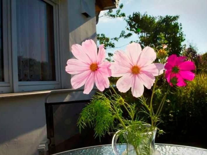 Ferienwohnung für 4 Personen, mit Terrasse und Garten, kinderfreundlich in Sassnitz - 4