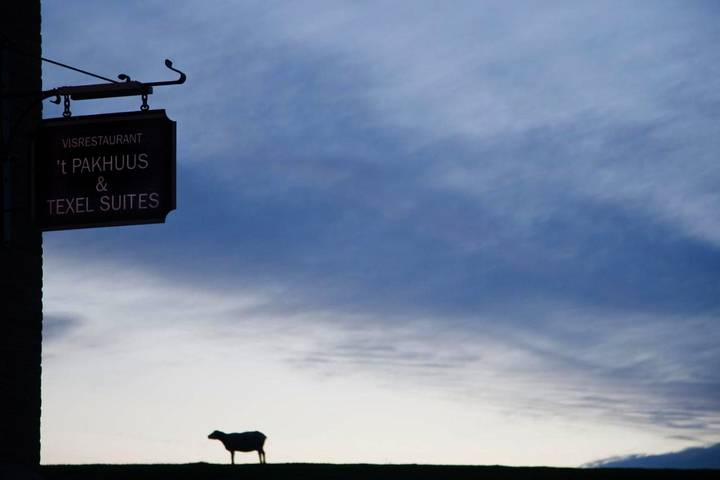 Hotel für 6 Personen, mit Terrasse und Ausblick auf Texel - 2