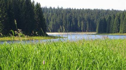 Ferienwohnung für 2 Personen, mit Sauna in Eibenstock