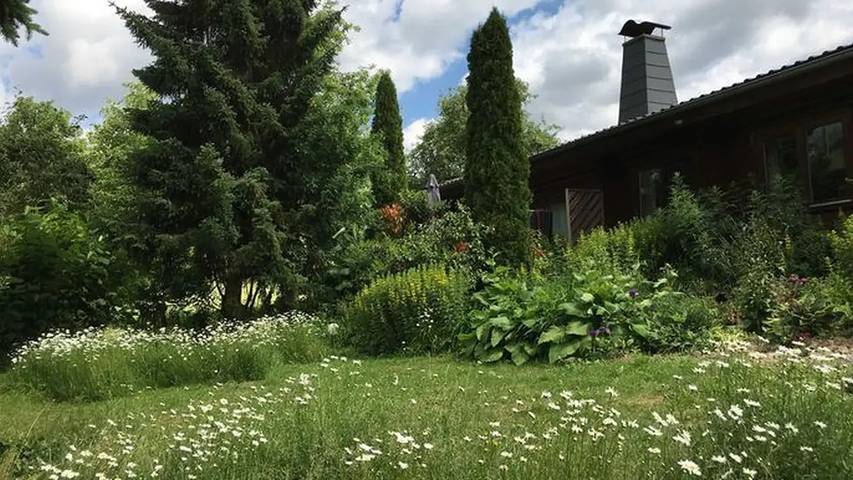 Filter.pet.vacation_home für 4 Personen, mit Terrasse und Garten in Edertal - 4