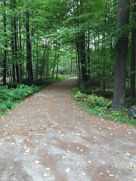 Gemütliches Häuschen im Wald versteckt in Townshend, Windham County