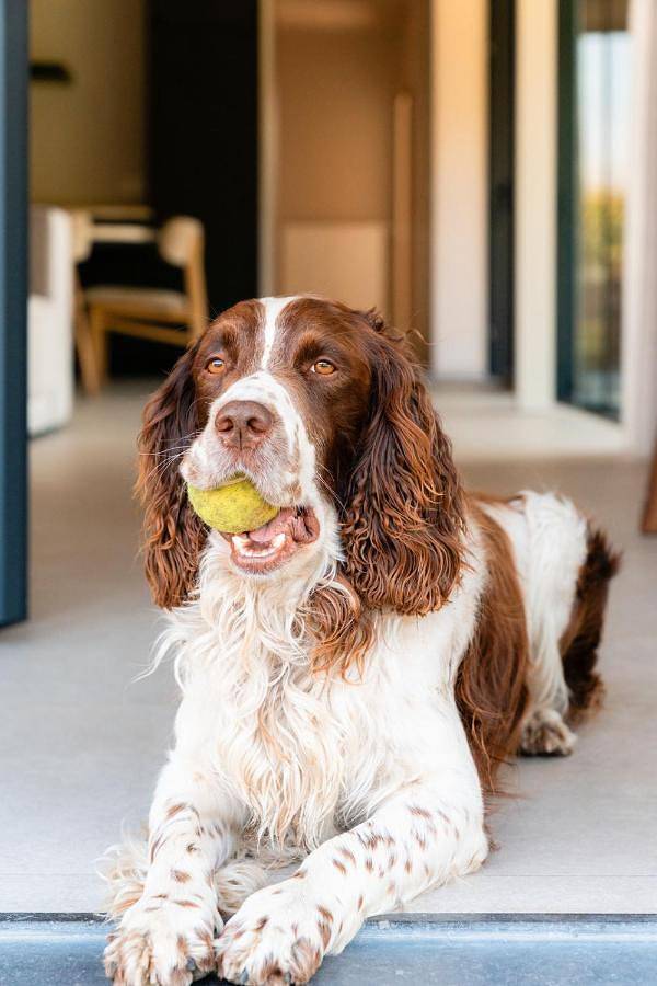 Location de vacances pour 6 personnes, avec jardin et vue dans Westouter - 2