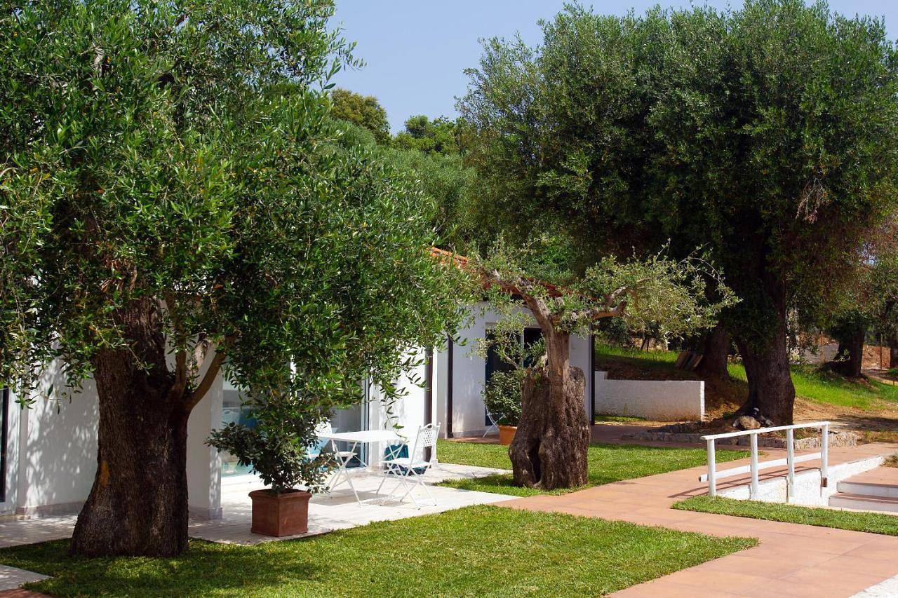 Small Double Room in Palinuro, Centola