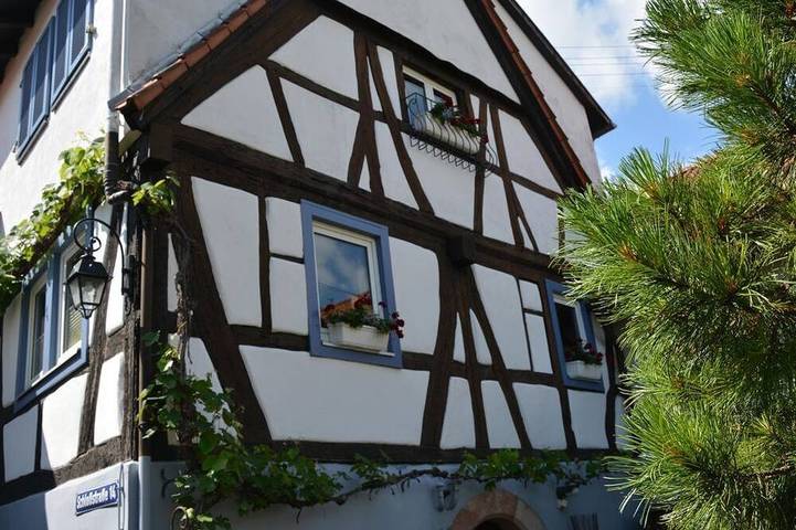 Ferienhaus für 4 Personen, mit Garten in Hambach (Neustadt)