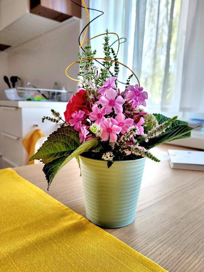 Ferienwohnung für 2 Personen, mit Garten in Dornbirn - 2