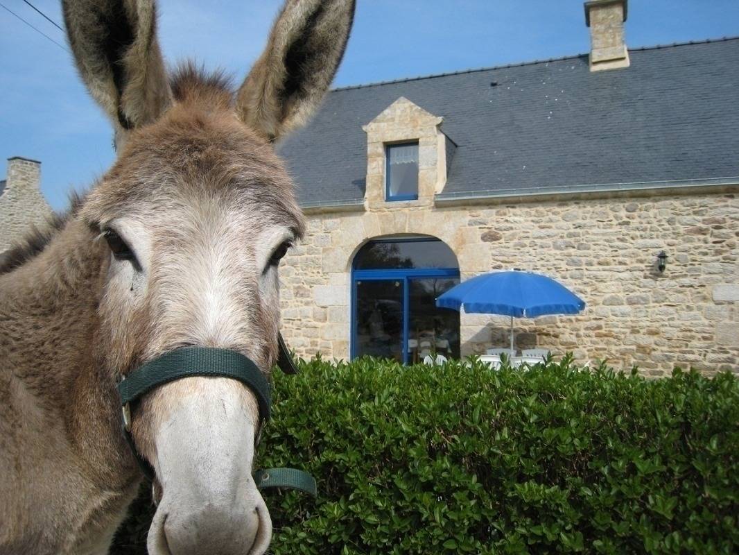 Maison de vacances