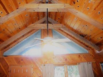 Cottage for 4 Guests in Blue Ridge Mountains, Chattahoochee National Forest, Picture 4