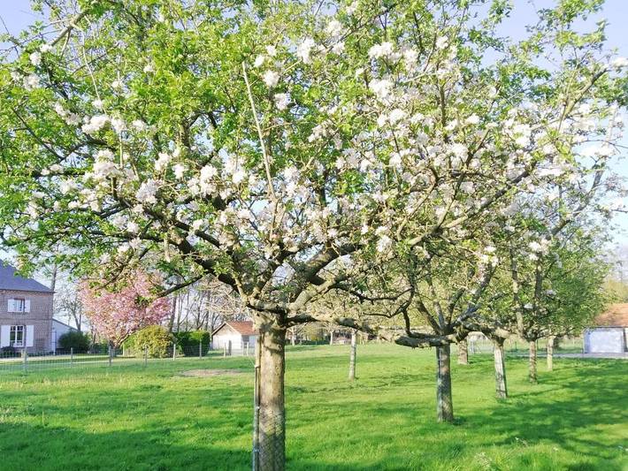 Location de vacances pour 8 personnes, avec vue et jardin, animaux acceptés dans Criquetot-le-Mauconduit - 4