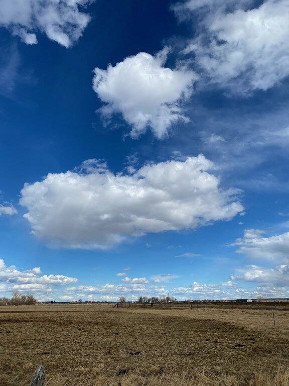 Quiet Country Burnt Cross Cabin close to Billings in Yellowstone County
