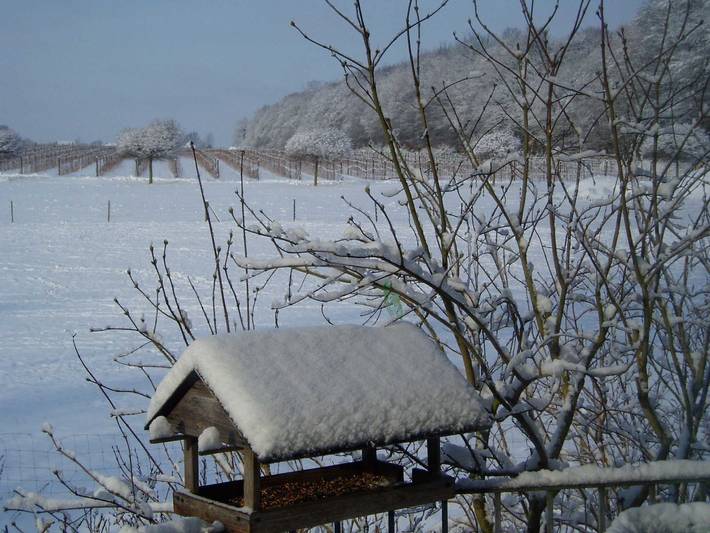 Ferienwohnung für 3 Personen, mit Balkon und Garten in Hamburg Umland - 4