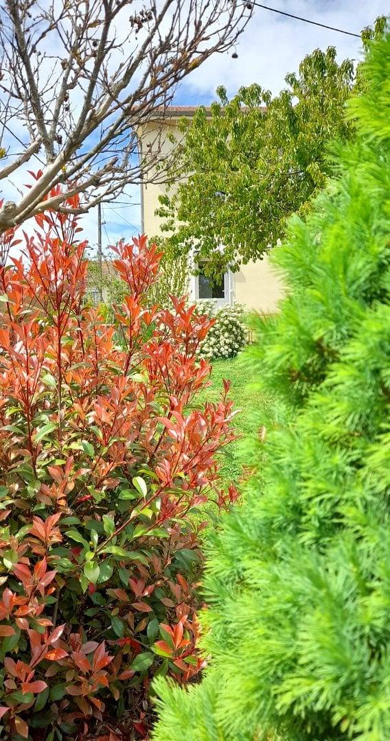 Location de vacances pour 2 personnes, avec jardin dans Région de Besse-et-Saint-Anastaise - 4