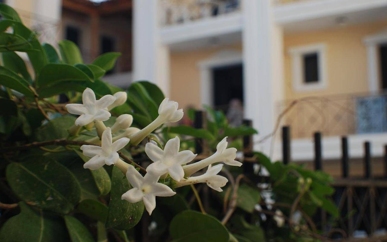 Appartement entier, One-Bedroom Apartment in Agia Pelagia, Achlada