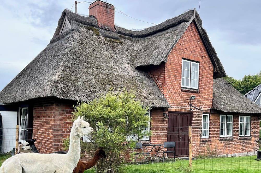 Ostsee - Romant. Ferienhaus / Ferienwohnung nahe Scharbeutz u Eutin mit Alpakas in Süsel, Ostholstein