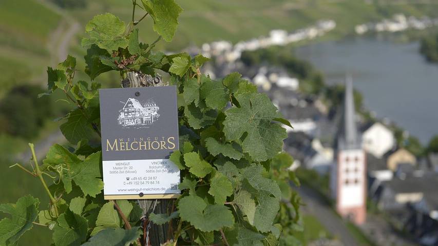 Ferienwohnung für 2 Personen, mit Terrasse an der Mosel