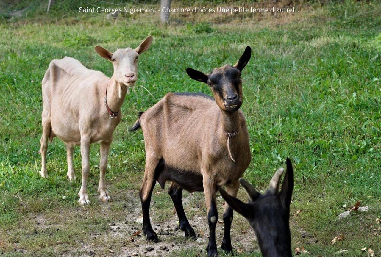 La Petite Ferme d'Autrefois in Saint-Georges-Nigremont, Parc Naturel Régional de Millevaches en Limousin