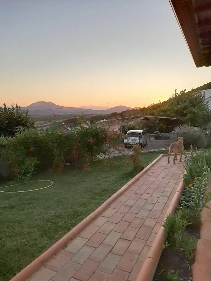 Alojamiento y desayuno para 2 personas, con Jacuzzi además de Terraza y Jardín en Sierra de Gata - 3