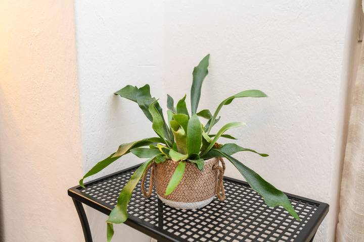 Ferienwohnung für 4 Personen, mit Seeblick, mit Haustier am Gardasee - 4