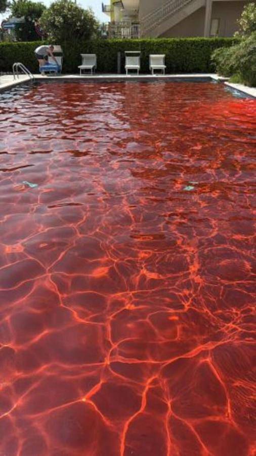 Hotel Costa Verde in Tortoreto Lido, Tortoreto (Comune)