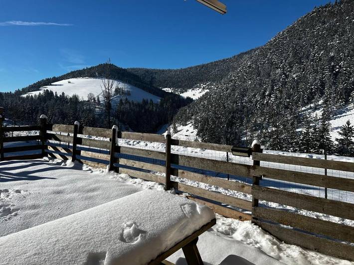 Chalet pour 10 personnes, avec jardin et vue, adapté aux familles à Villard-de-Lans - 4