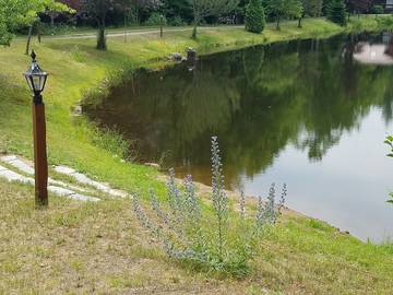 Log Cabin for 4 Guests in Adirondack Mountains, New York State, Picture 1