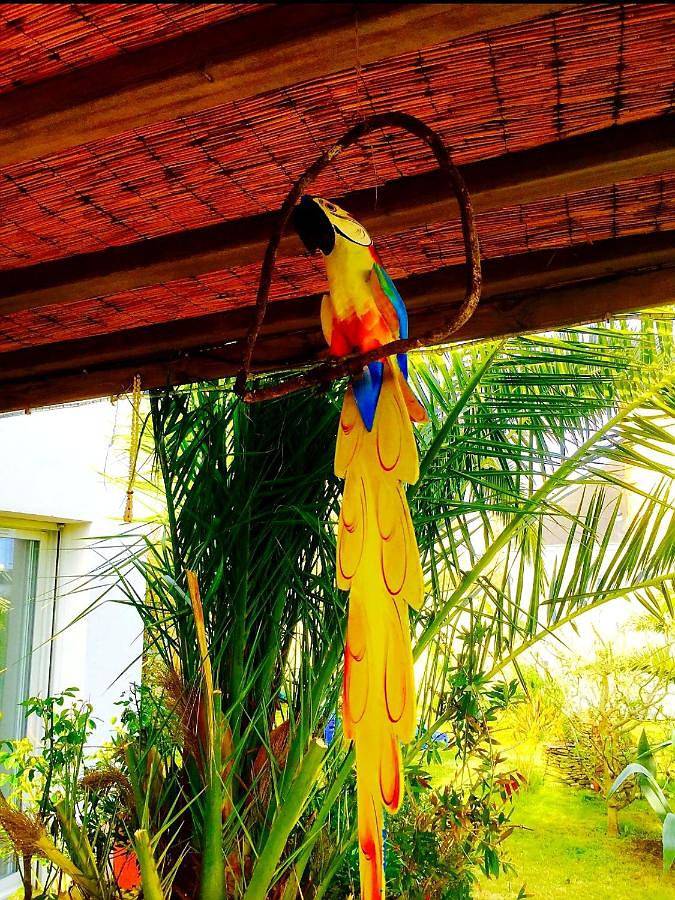 Location de vacances pour 3 personnes, avec jardin et vue dans Locmaria (Groix) - 3