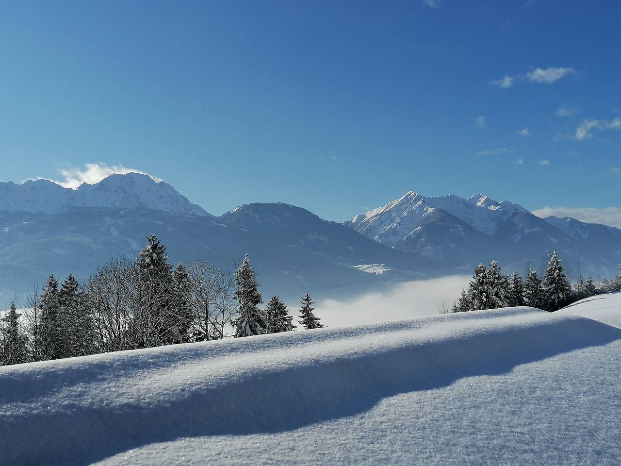 Ganze Wohnung, Waldblick in Steinfeld in Kreuzeckgruppe, Steinfeld im Drautal