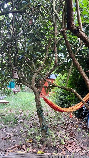 Chambre d’hôte pour 2 personnes, avec jardin et vue à Rueil-Malmaison