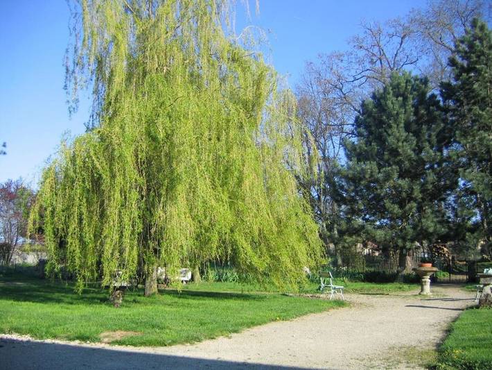 Chambre d’hôte pour 2 personnes, avec jardin ainsi que terrasse et vue dans Neufchâteau - 4