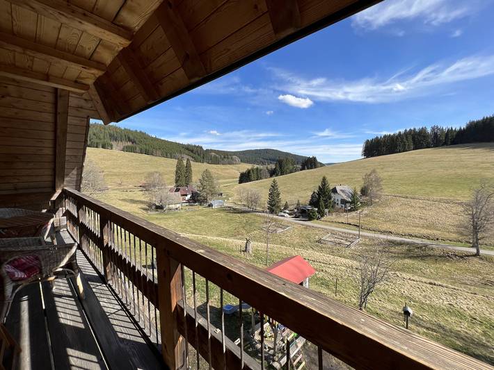 Ferienwohnung für 5 Personen, mit Garten und Balkon in Titisee-Neustadt