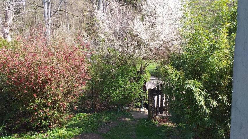 Location de vacances pour 4 personnes, avec vue et terrasse à Chalifert