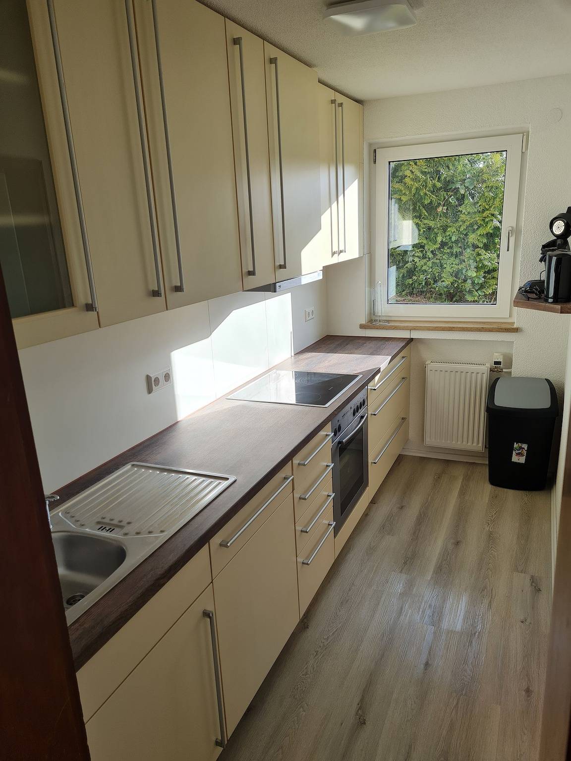 Entire apartment, Dreher Apartment with Shared Garden and Wi-Fi in Aulendorf, Region Bodensee-Oberschwaben